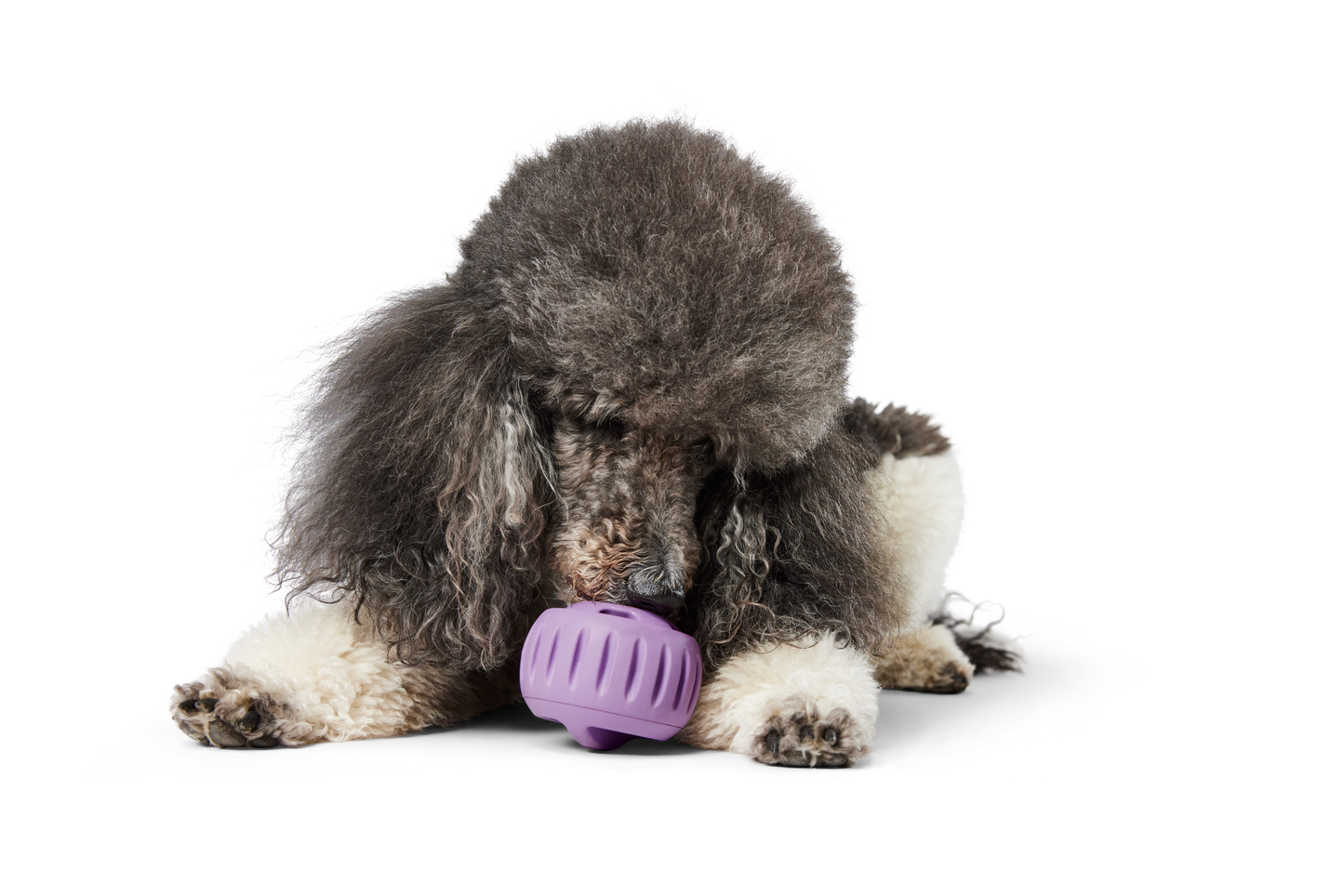 WOOF Pupsicle