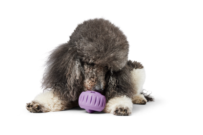 WOOF Pupsicle