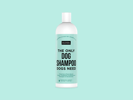 The Only Dog Shampoo Dogs Need: 16 ounce