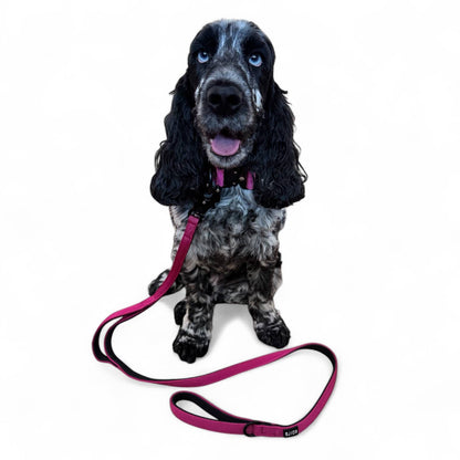 Blue Tactical Style Dog Collar: Medium: 1.5" x 13"-20"