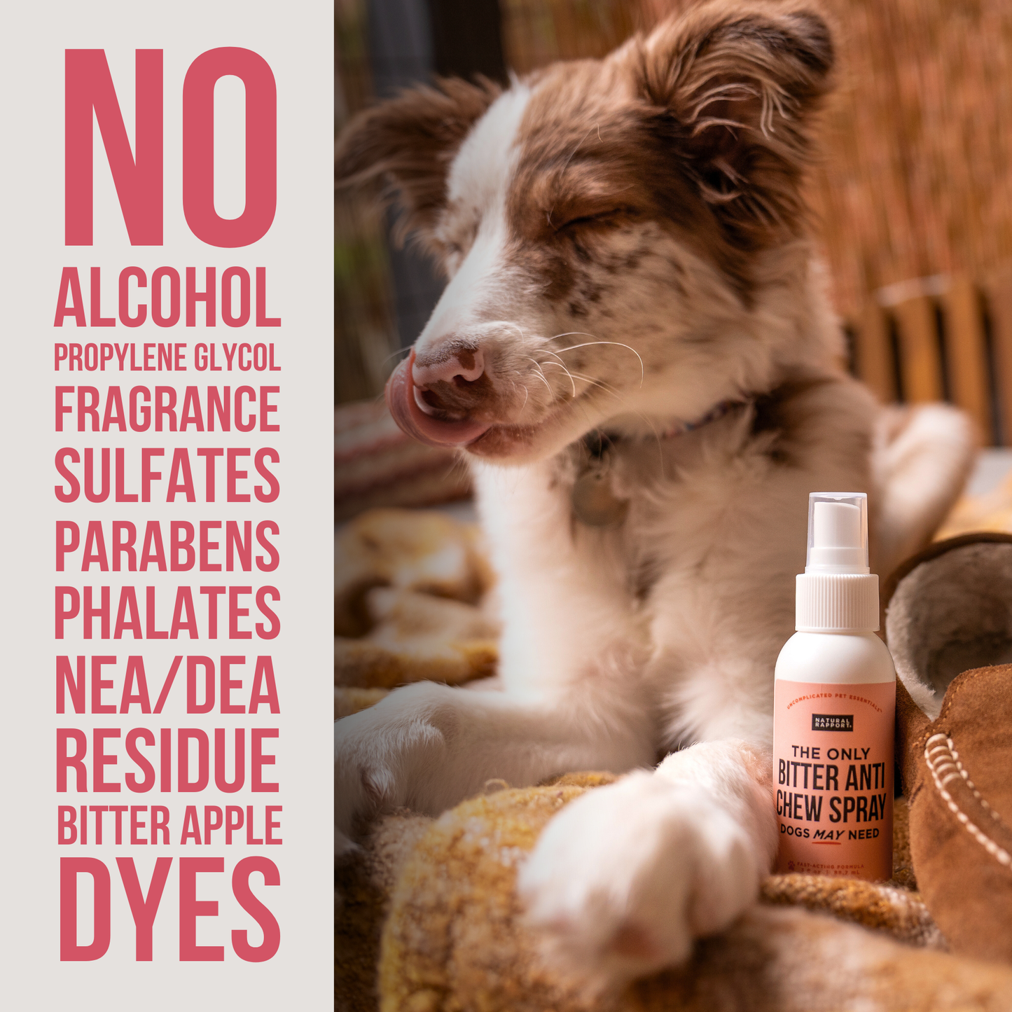 The Only Bitter Anti Chew Spray Dogs May Need: 3 ounce