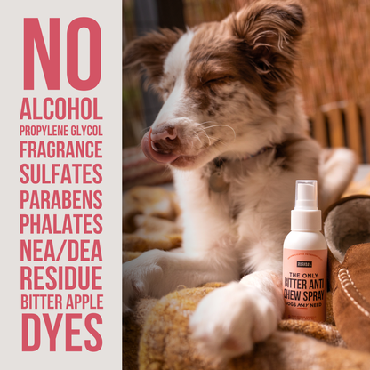 The Only Bitter Anti Chew Spray Dogs May Need: 3 ounce