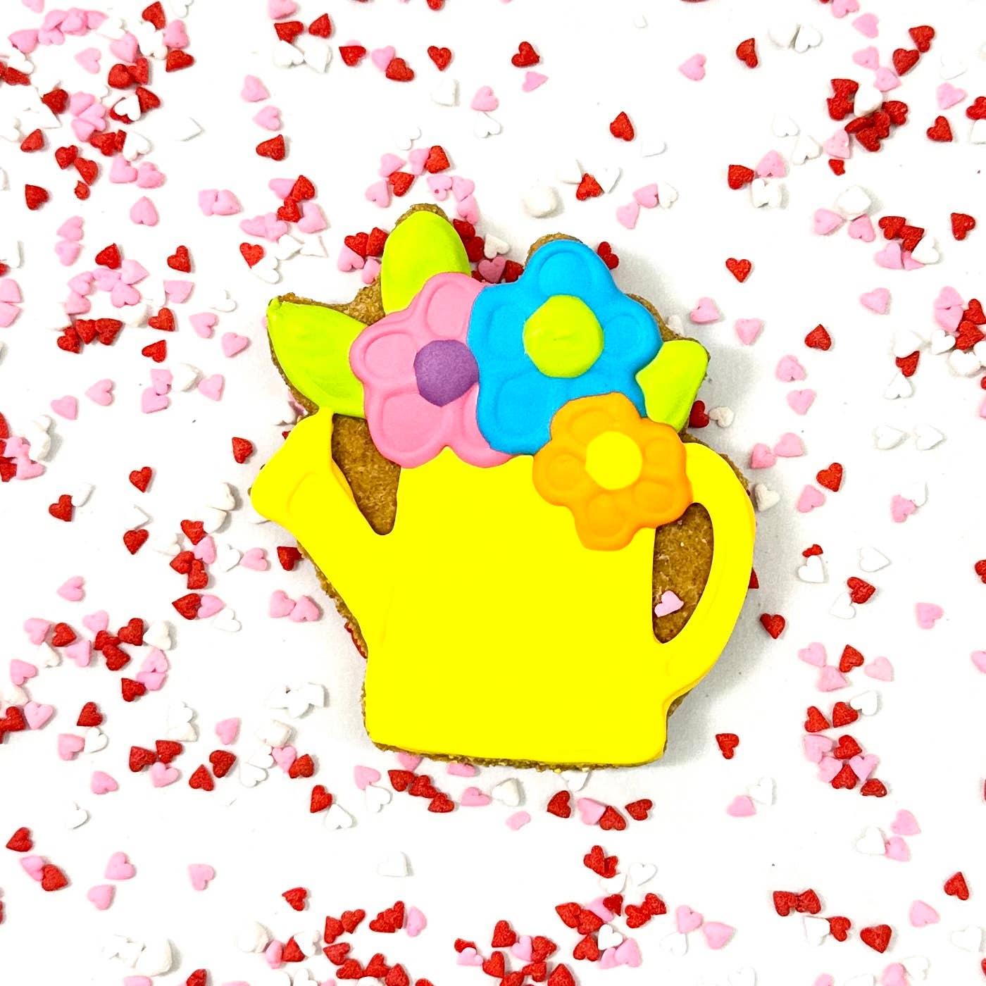 Colorburst Spring Bloom Collection: Neon Frog Cookie