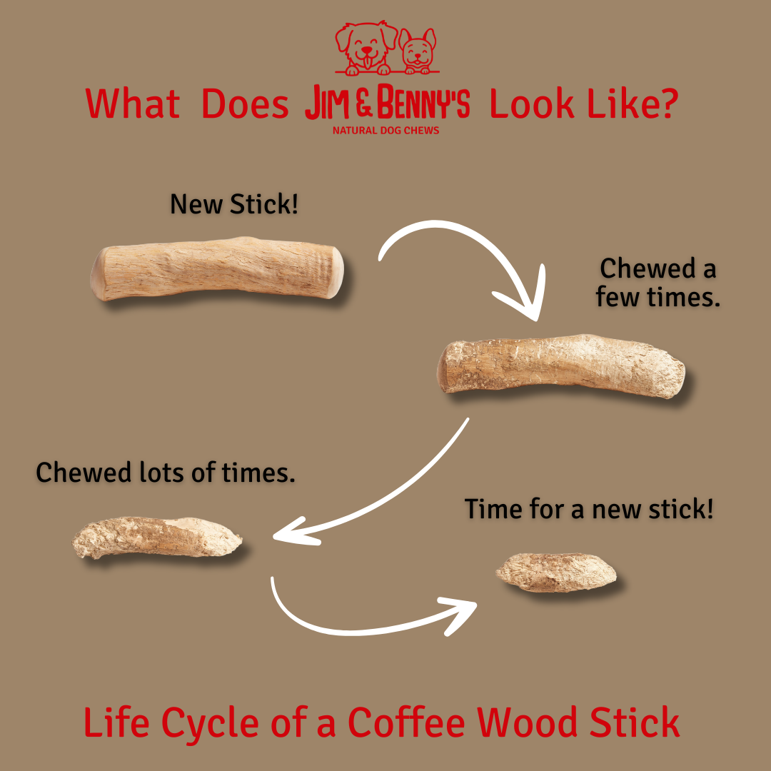 Coffee Wood Chews for Dogs: Large