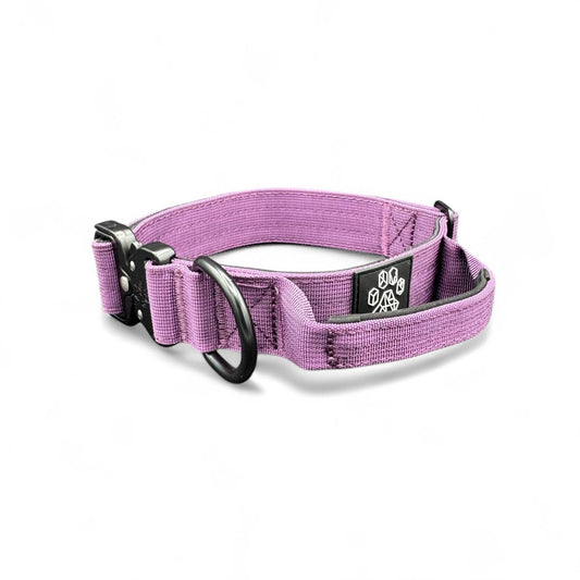 Purple Tactical Style Dog Collar: Medium: 1.5" x 13"-20"