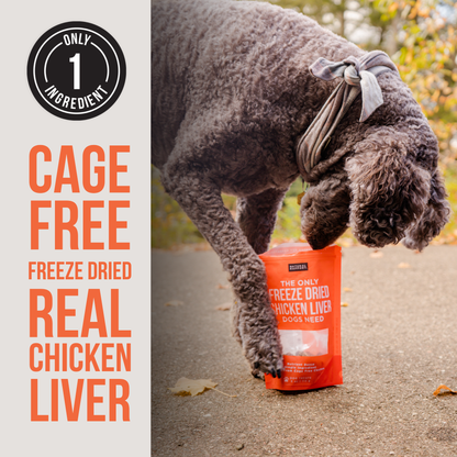 The Only Freeze Dried Chicken Liver Dogs Need: 4 oz bag