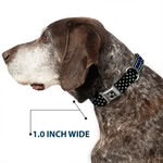 Buckle-Down Dog Collar 15”-26” Blue FAFO