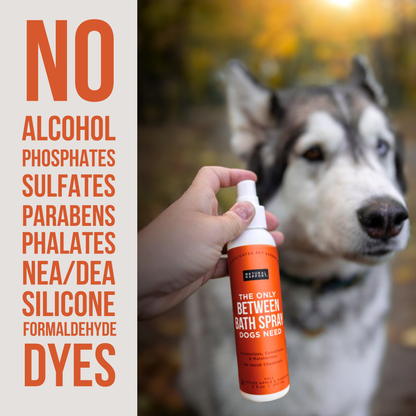 The Only Between Bath Spray Dogs Need - Apple & Pumpkin: 3 ounce