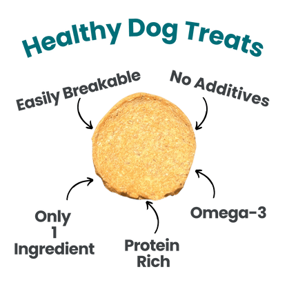 Fish Chips Dog Treats: Value 12oz