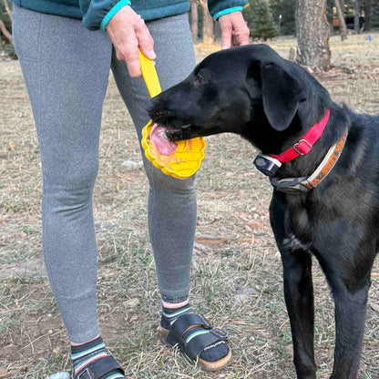 Lick Stick Hand-Held Interactive Enrichment Toys: Beehive Lick Stick - yellow