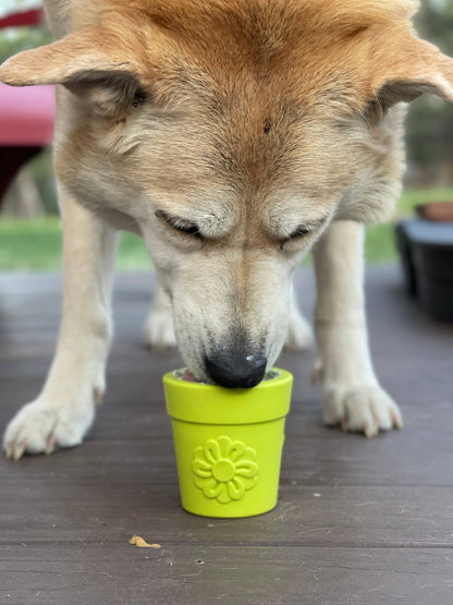 Flower Pot Durable Rubber Treat Dispenser & Enrichment: Orange
