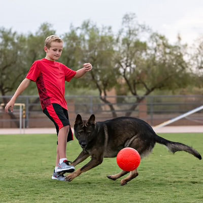 Jolly Pets Soccer Ball