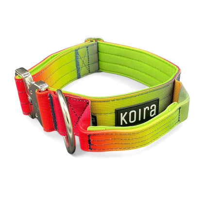 Tactical Dog Collar Rainbow Gradient (2"/ 5cm): Medium