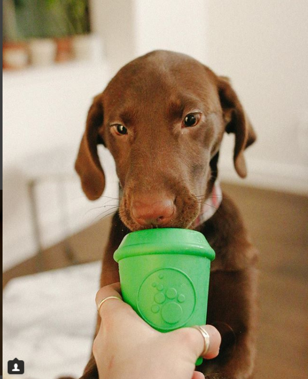 SP Coffee Cup Durable Rubber Chew Toy and Treat Dispenser: Medium Green Coffee Cup
