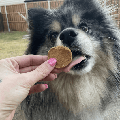 Fish Chips Dog Treats: Value 12oz