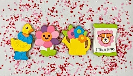 Colorburst Spring Bloom Collection: Neon Frog Cookie
