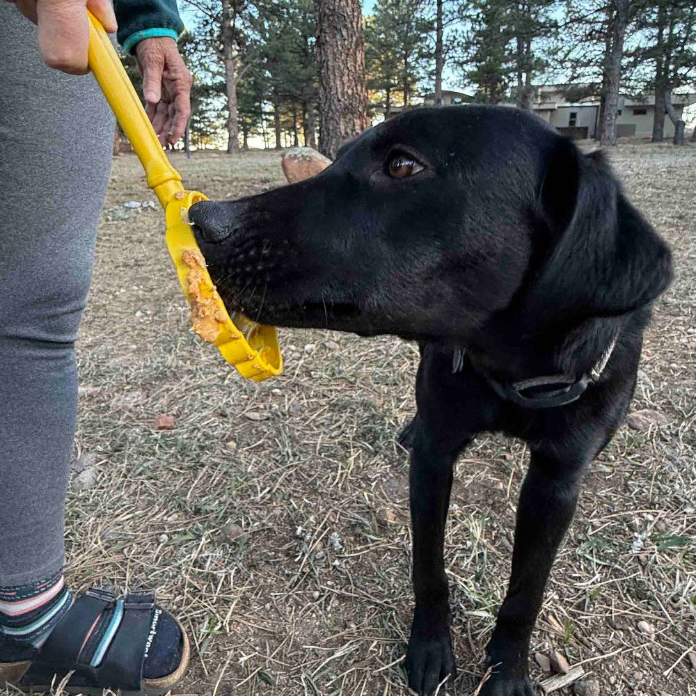 Lick Stick Hand-Held Interactive Enrichment Toys: Ice Cream Cone Lick Stick - Pink