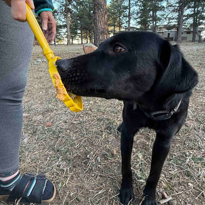 Lick Stick Hand-Held Interactive Enrichment Toys: Ice Cream Cone Lick Stick - Pink
