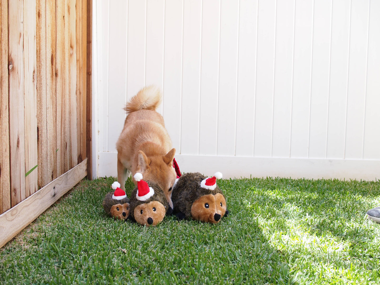 Holiday Hedgehog Large | ZippyPaws