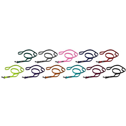 Nylon Multi-Handle Flat Leash: Purple / 3 Handle / 6'