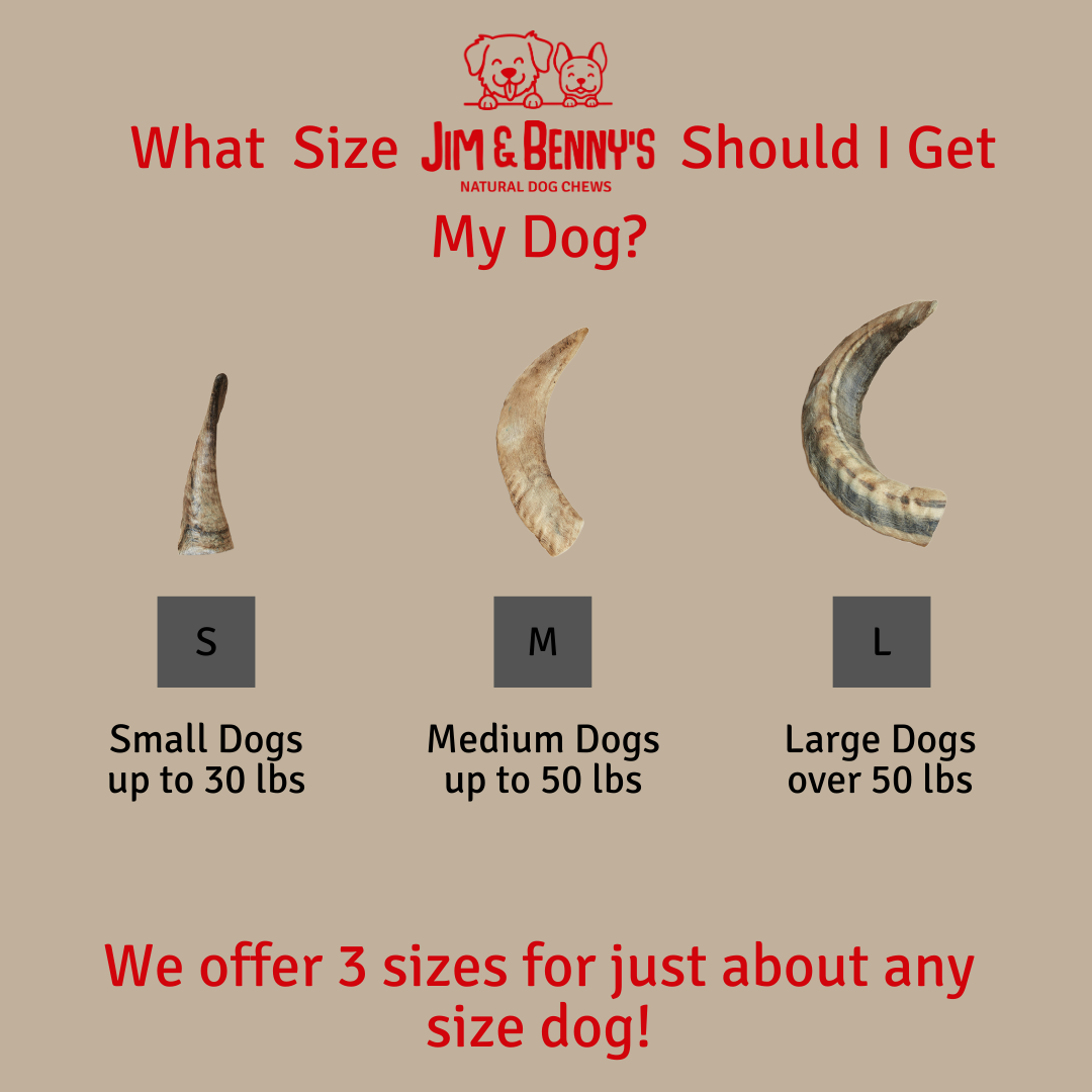 Sheep Horn Chews for Dogs: Large
