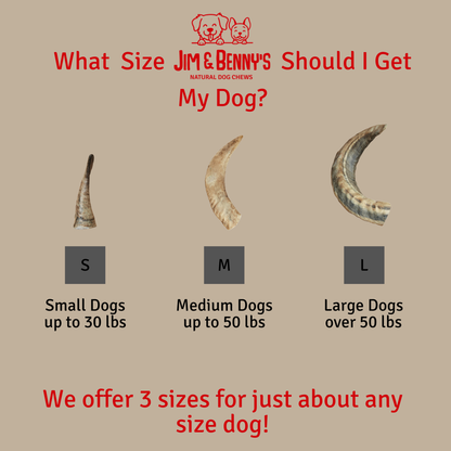 Sheep Horn Chews for Dogs: Large