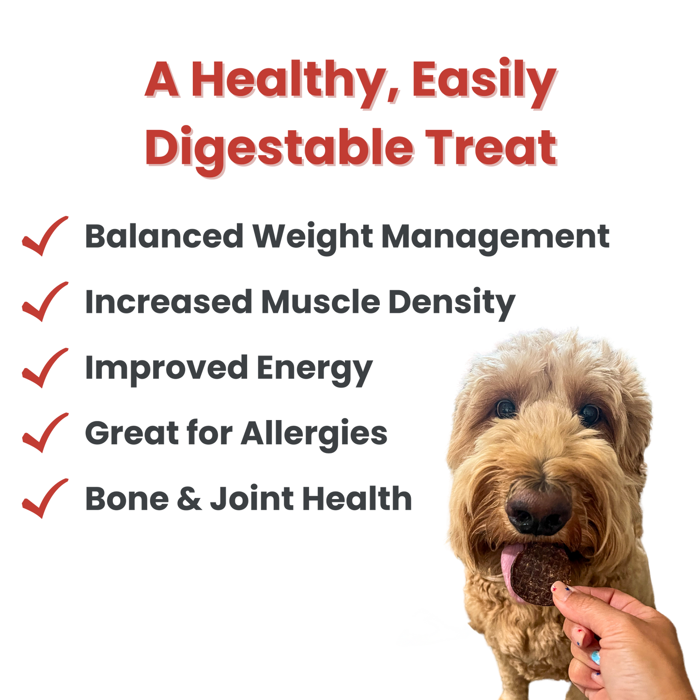 Beef Chips Dog Treats: Value 12oz