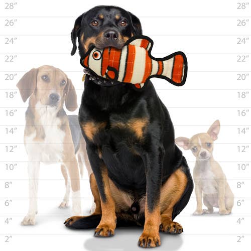Tuffy Ocean Fish - Orange, Durable, Tough, Squeaky Dog Toy