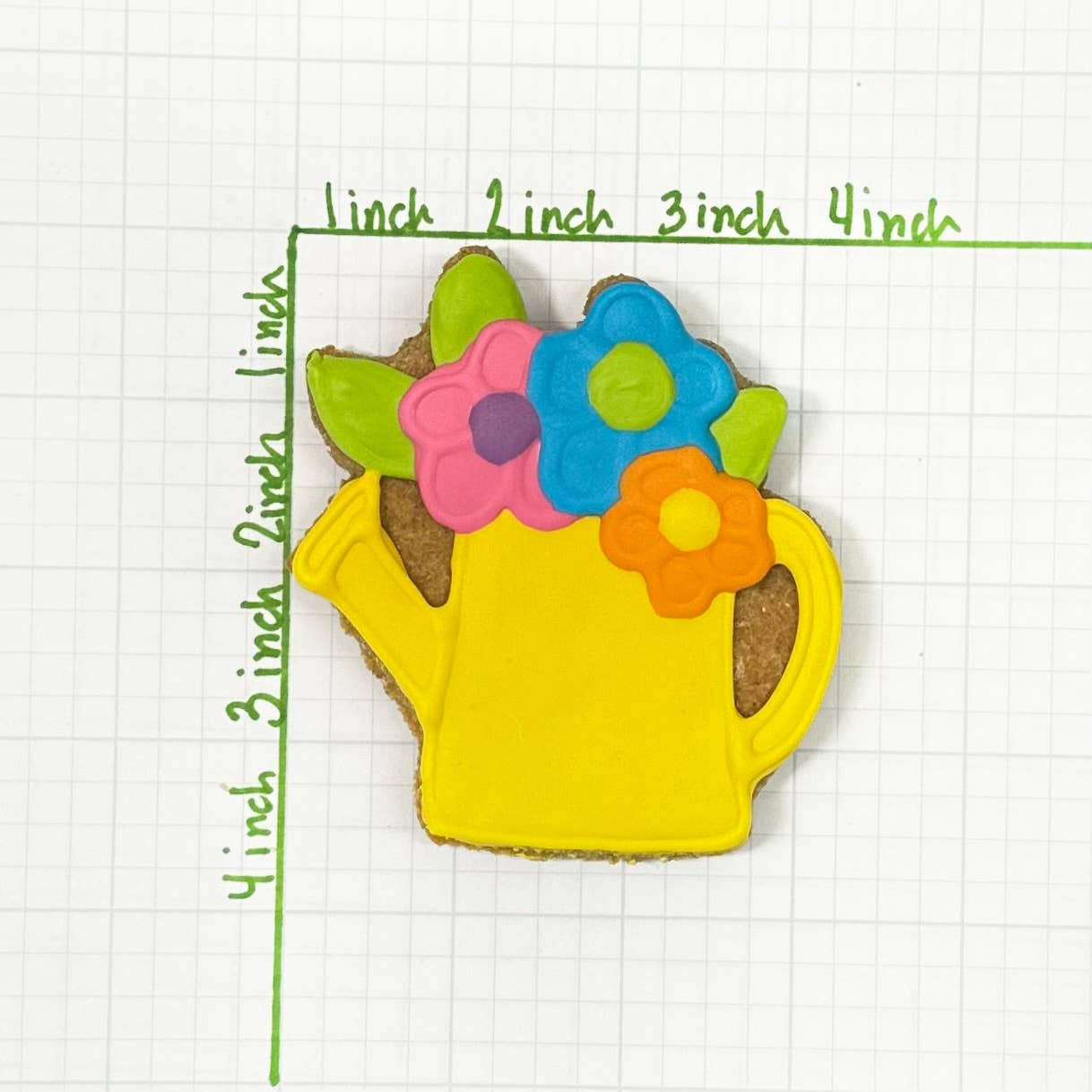 Colorburst Spring Bloom Collection: Neon Frog Cookie