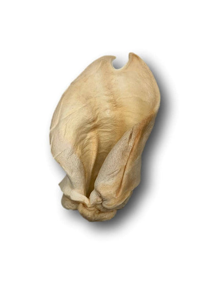 Cow Ears Regular (CE0101NR): Unit