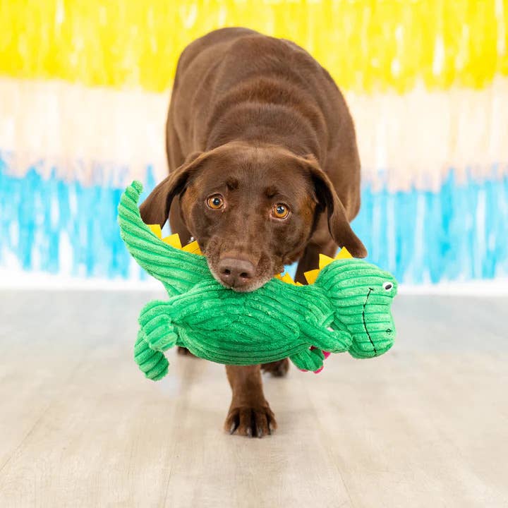 Thorny But Cute Dino Plush Dog Toy | PetShop by Fringe Studio