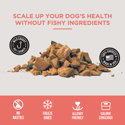 The Only Freeze Dried Salmon Dogs Need: 3 oz
