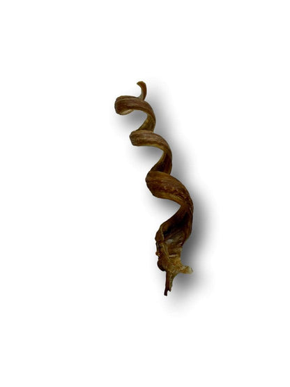 Pork Pizzle Springs 6" (PE0106PS): Unit