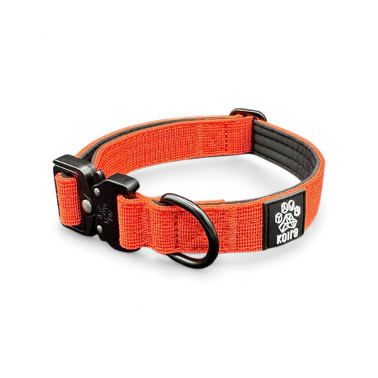 Durable Orange Nylon Dog Collar with Metal Buckle: Small: 1" x 11"–16"