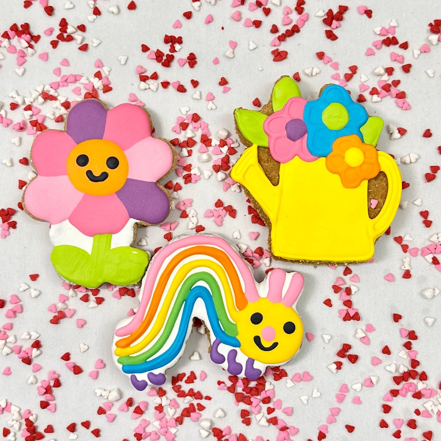 Colorburst Spring Bloom Collection: Neon Frog Cookie