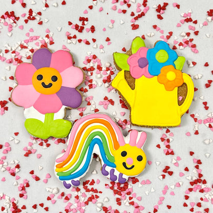Colorburst Spring Bloom Collection: Neon Frog Cookie
