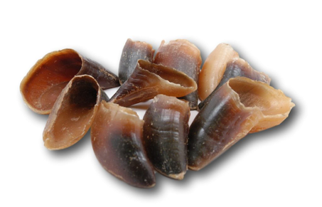 Bovine Hooves (BV0101N): Unit