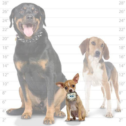 Small Silly Squeaker iBall - 3 Pack, Squeaky Dog Toy