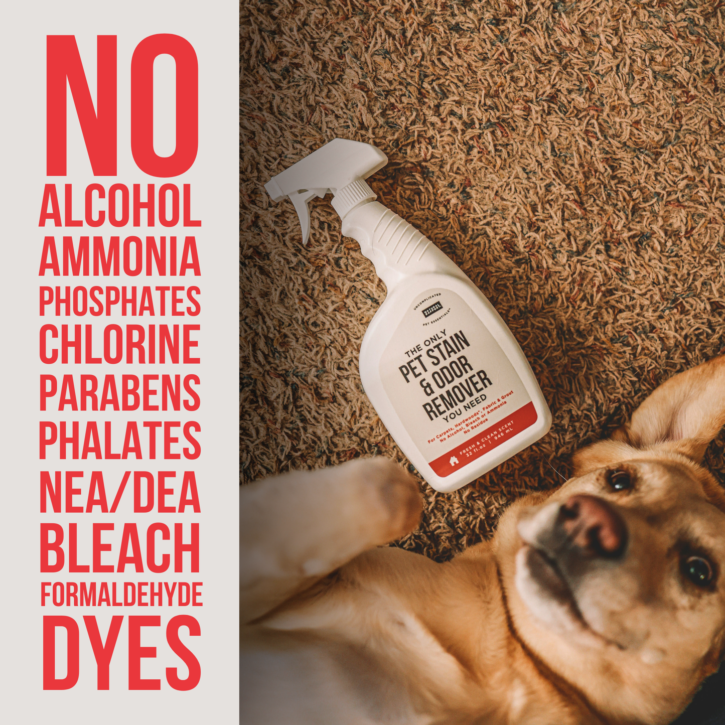 The Only Pet Stain & Odor Remover You Need: 32 ounce