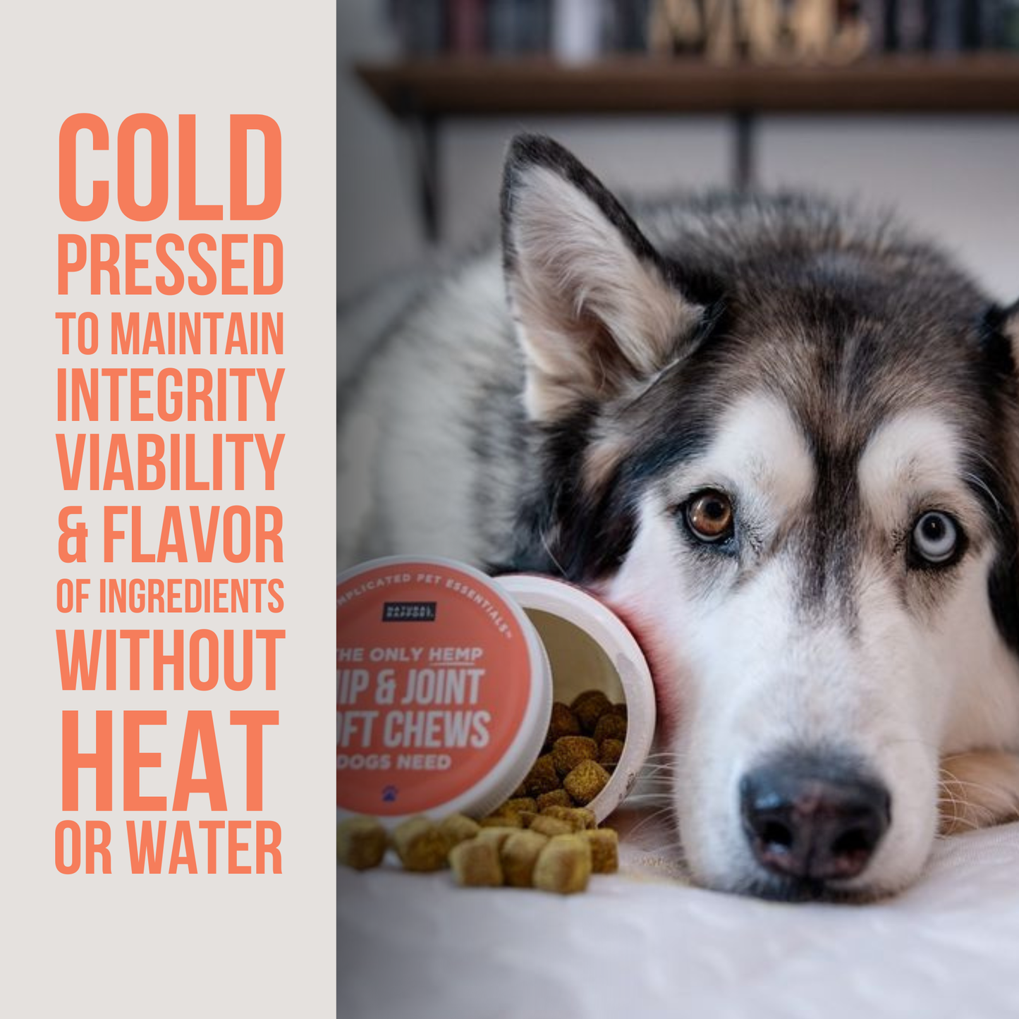 The Only Hemp Hip & Joint Soft Chews Dogs Need: 120 count jar