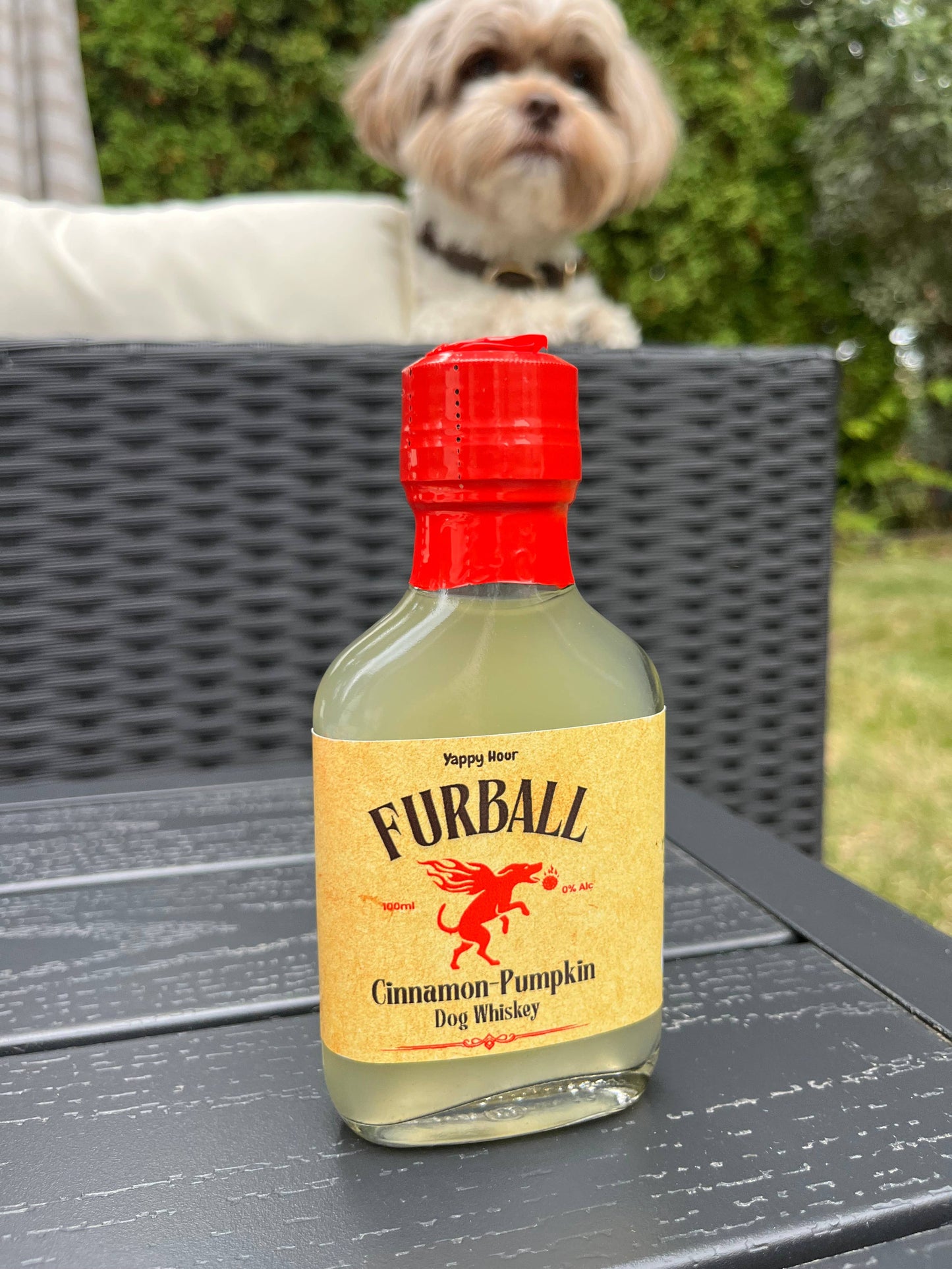 Furball Dog Whiskey Minis 100ml |12ct | Pumpkin-Cinnamon