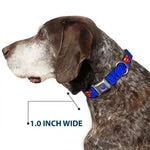 Buckle-Down Dog Collar 15”-26” Superman