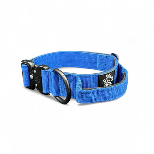 Blue Tactical Style Dog Collar: Medium: 1.5" x 13"-20"