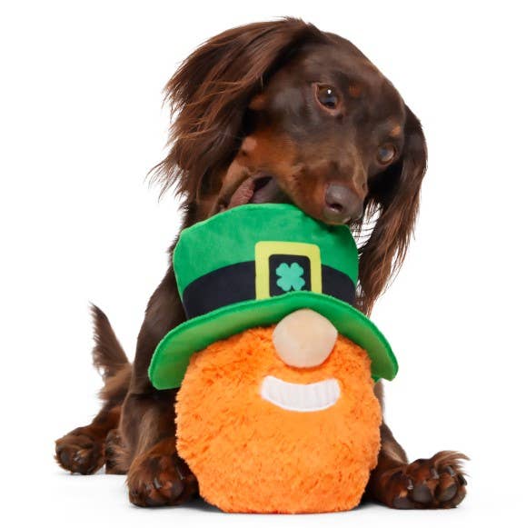 BARK Paddy O'Belly St. Patrick's Day Dog Toy M