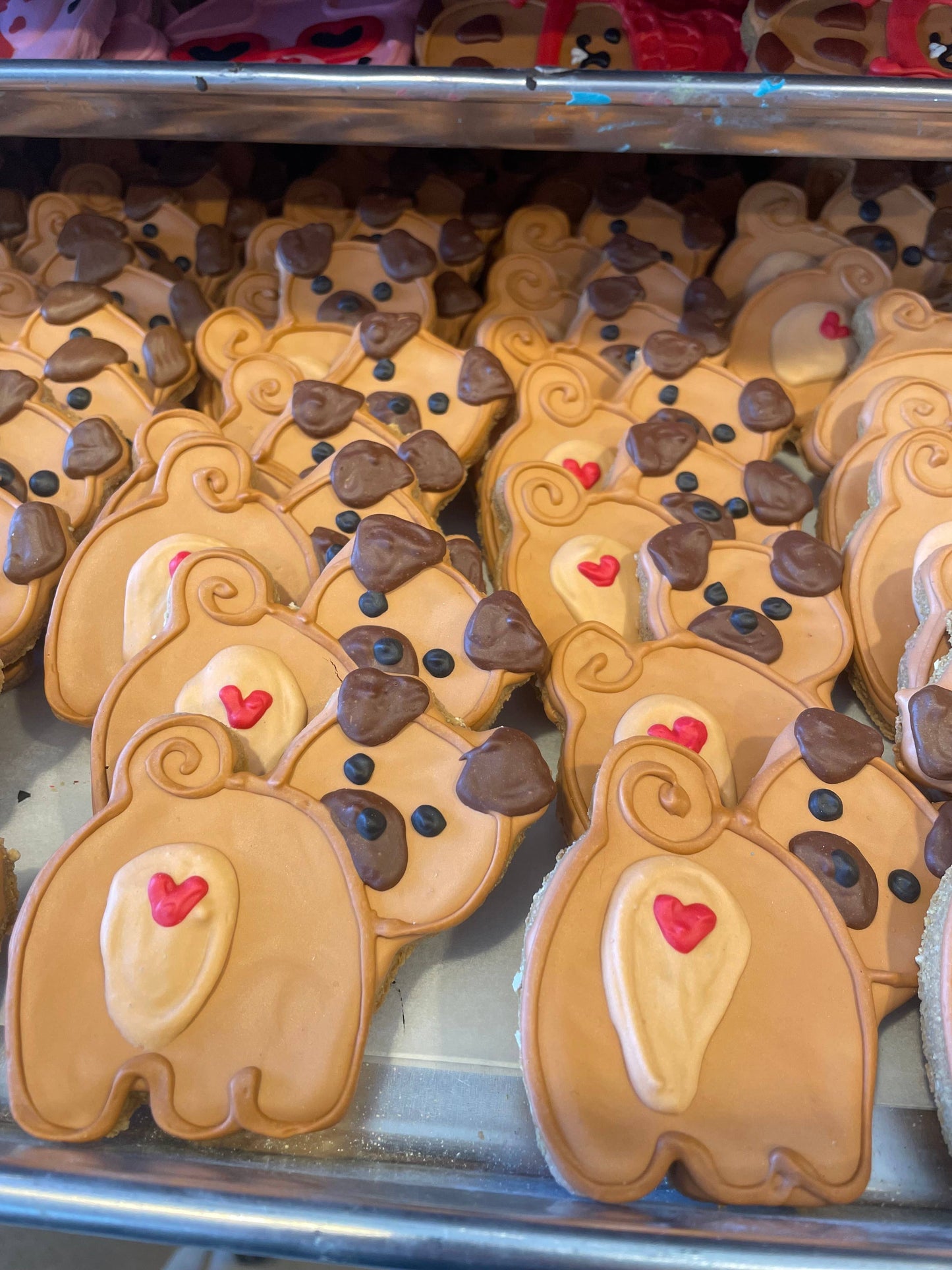 All the Dog Things: Corgi Butt