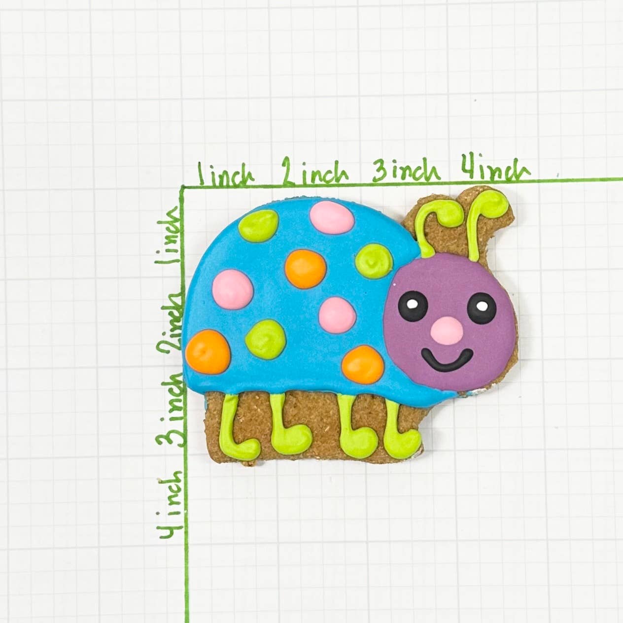 Colorburst Spring Bloom Collection: Neon Frog Cookie