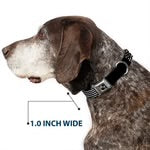 Buckle-Down Dog Collar 15”-26” We The People