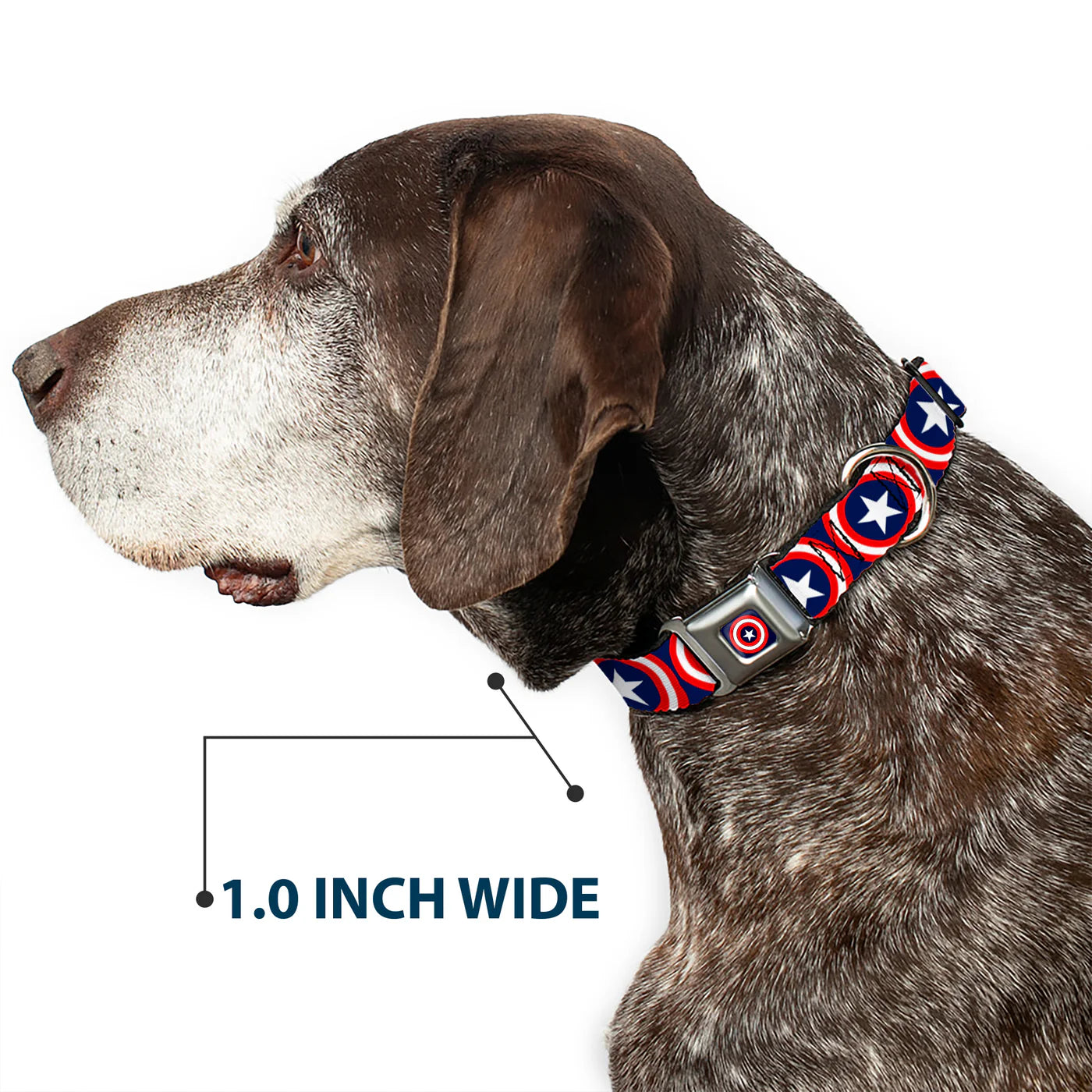 Buckle-Down Dog Collar 15”-26” Captain America