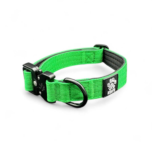 Durable Green Nylon Dog Collar with Metal Buckle: Small: 1" x 11"–16"