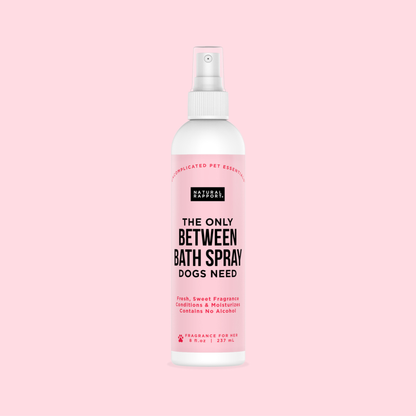 The Only Between Bath Spray Dogs Need - Floral & Coconut: 8 ounce